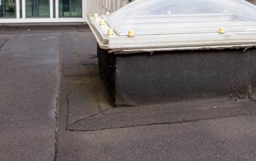 disadvantages of Earsham Street flat roofs