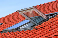Earsham Street roof window